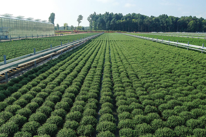 Plant Handling Made Easy