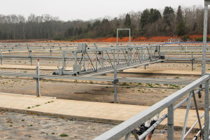 Plant Handling Made Easy