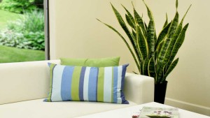 Tropical And Indoor Foliage Plants Emerge As A Lifestyle Choice