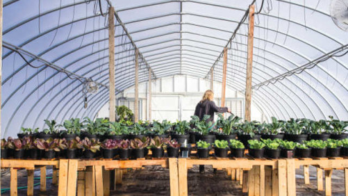 Fertilizer Manufacturers Aim To Deliver Sustainable Solutions