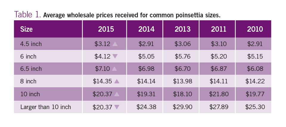 Poinsettia Survey 2015