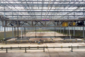 The Benefits Of Automation