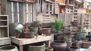 2 Unique Ways To Approach Benching From My Garden Nursery