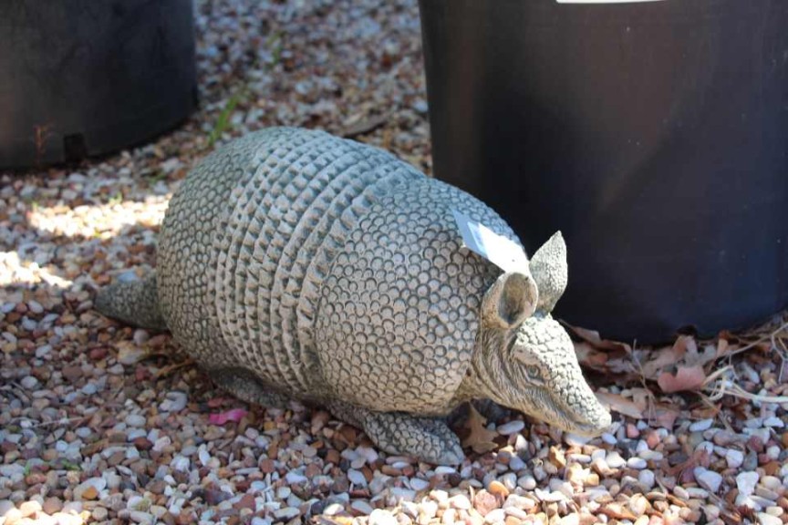 Armadillo Statue Offers A Nod To The Home State