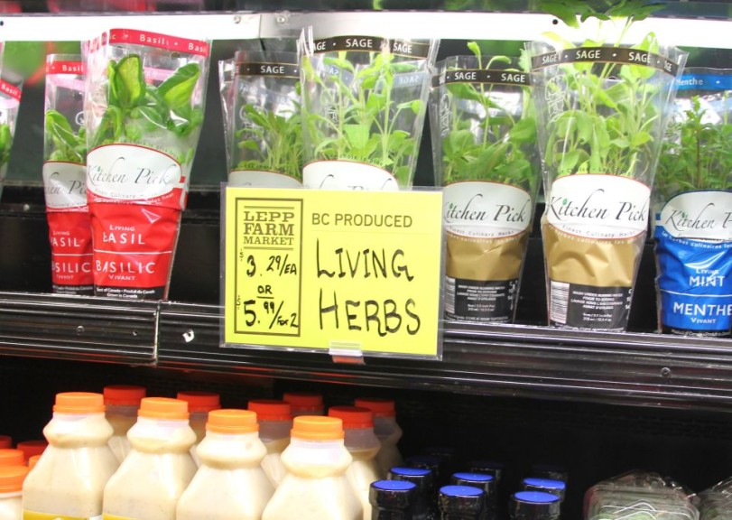 BC-Produced Living Herbs At Lepp Farm Market