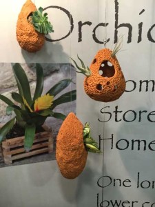 Clay Orchid Pots (Big Grass Living)