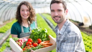 How You Can Supply The Farm-To-Table Movement