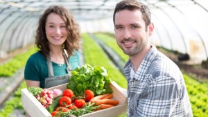 Gardening Insights Survey: New Gardeners Are Sticking Around and Spending More