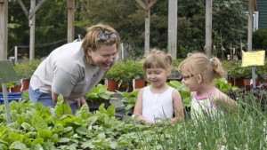 A Customer-Research Method You Can Do Easily: Observe Them