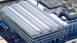 Gotham Greens Opens Newest Greenhouse In Queens, NY