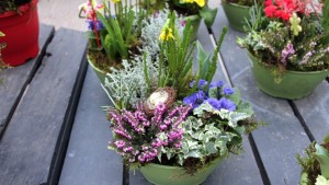 Winter Combo Garden Ideas From Minter Country Gardens [Photo Gallery]