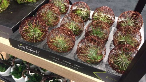 The Coolest New Retail Products From TPIE