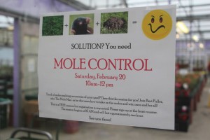 Mole Control at Minter Country Gardens