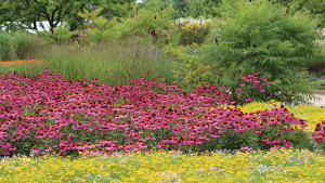 13 Ways To Repackage Perennials