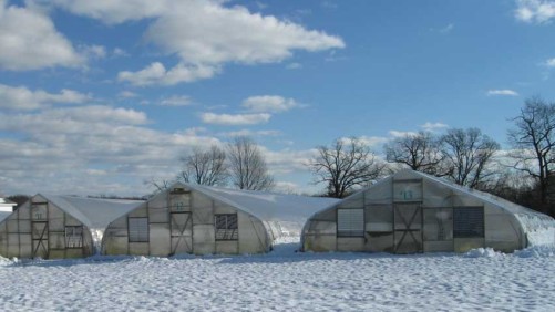 Which Winter 2023-2024 Forecast Will Win? Farm Almanacs Vs. Modern Tech