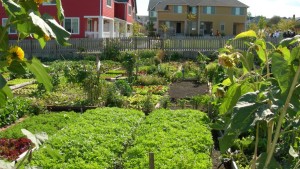 Garden Retail (And Even Gardens) Confuse Zoning Boards