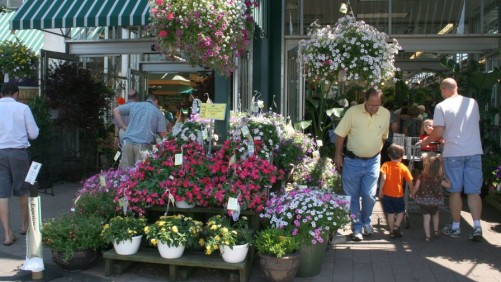 Why English Gardens Charges For Its Customer Loyalty Program