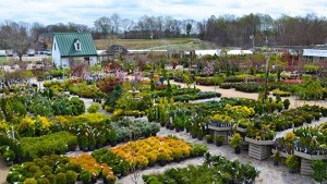 Natives Are A Competitive Advantage At Homestead Gardens