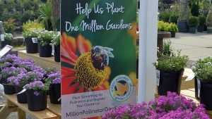 Million Pollinator Garden Challenge Is Retail Ready For 2016