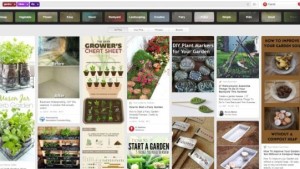 What Garden Tips Are Your Shoppers Finding On Pinterest?
