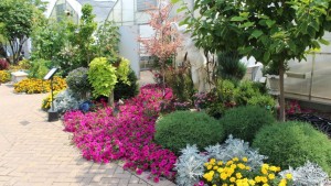 Platt Hill’s Mini Demo Gardens Come With Plant Lists