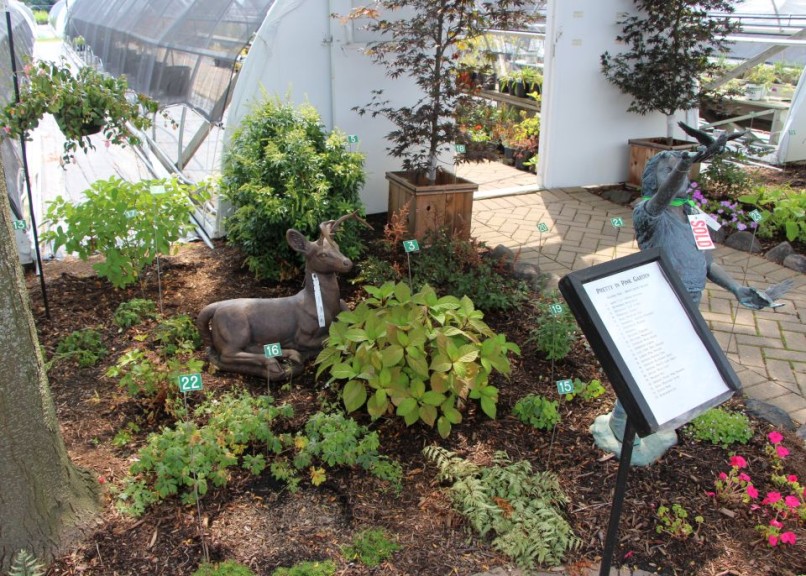 6. Pretty In Pink Garden