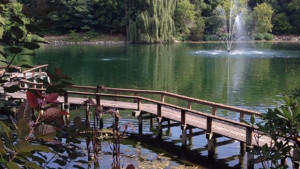 All-America Selections Summer Summit Will Take Place In Madison, WI