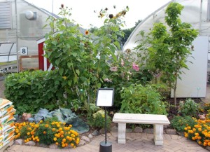 2. The Barnyard Garden