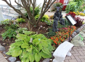 4. The Hosta Garden
