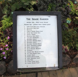 7. The Shade Garden, Plant List