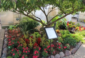 9. The Tropical Garden