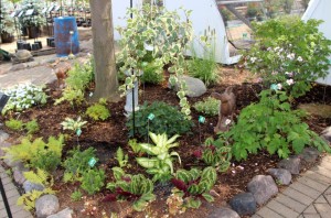 10. The White Garden 