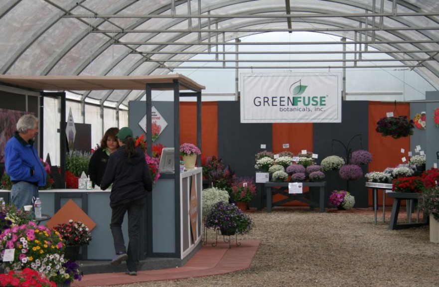 A backdrop for a greenhouse wall at GreenFuse.
