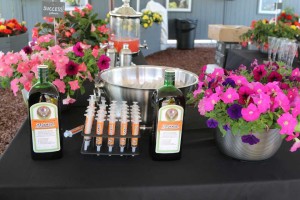 A Shot of Success At Benary