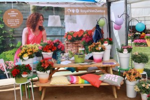 Big photo backdrop at Royal VanZanten