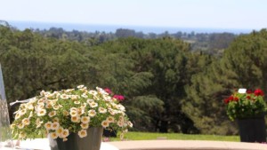 What Is It Like To Attend California Spring Trials?