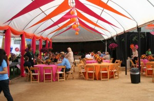 Ceiling decor in a hoophouse at GroLink