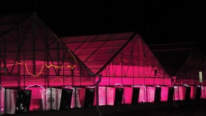 Greenhouse Energy Use: How You Can Take Control