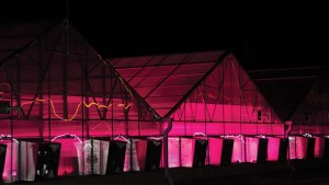 New Colorado State University Greenhouse Showcases LED Technology