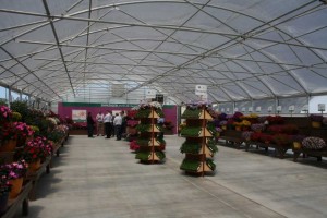 Danziger 2016 New Variety Introductions