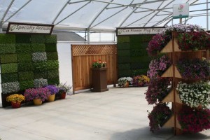 Danziger 2016 New Variety Introductions