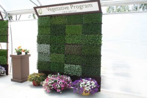 Danziger 2016 New Variety Introductions