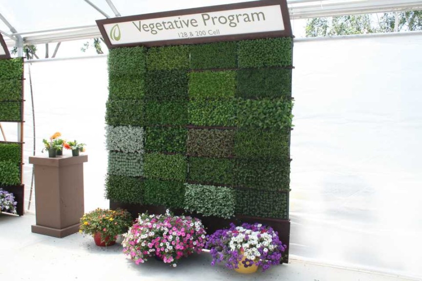 Danziger 2016 New Variety Introductions