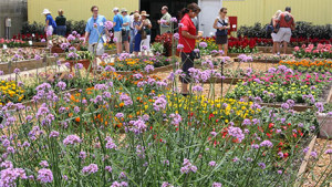 Mark Your Calendars For Florida Flower Trials In May