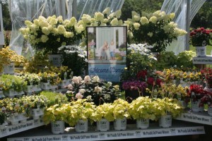 Display Showing Consumers how to Combine Annuals, Perenials and Shrubs