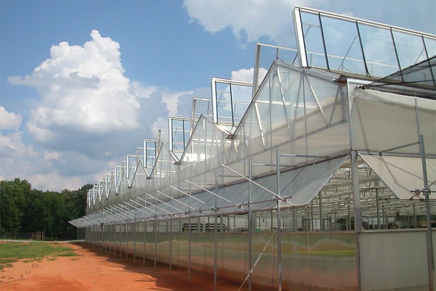 Dual Atrium Greenhouse (Nexus)