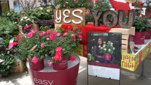 7 Insights For Garden Retailers From The California Spring Trials