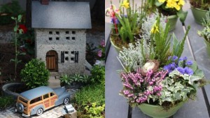 Fairy Gardens vs. Container Gardens: More Insights Into What’s Most Popular In Google Searches
