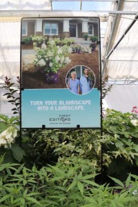 First Editions Blandscape to Landscape