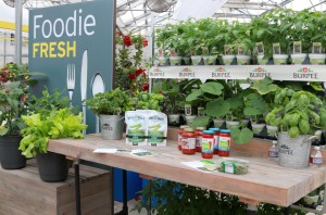 Foodie Fresh display at Burpee